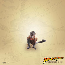 Load image into Gallery viewer, INSTOCK Indiana Jones Adventure Series Indiana Jones (Cairo)