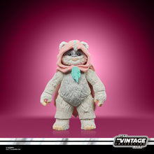 Load image into Gallery viewer, INSTOCK Star Wars The Vintage Collection Wicket &amp; Kneesaa
