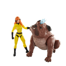 Load image into Gallery viewer, INSTOCK Marvel Legends Series Marvel&#39;s Crystal and Lockjaw, Comics Action Figures
