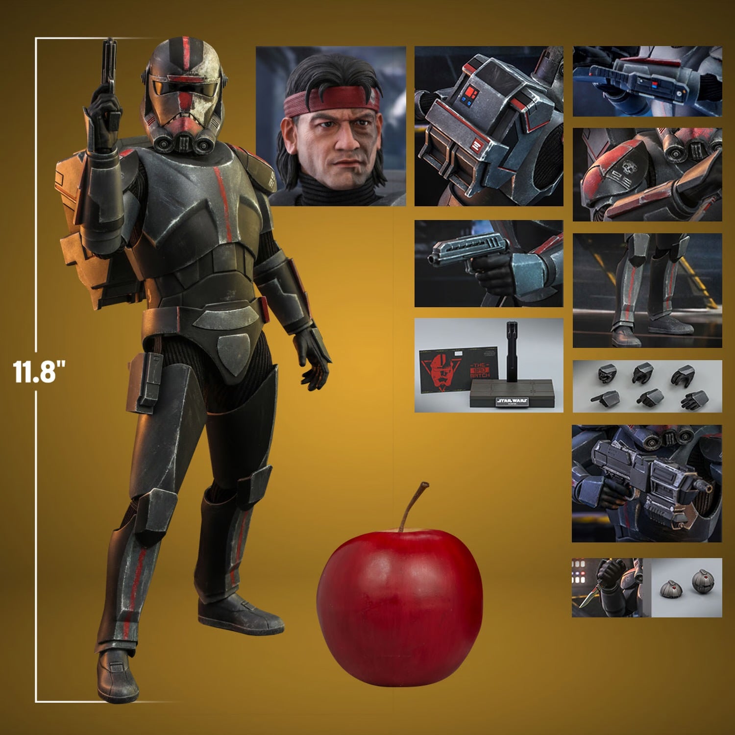 HOT TOYS – Zed Collectibles