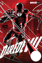 Load image into Gallery viewer, INSTOCK DAREDEVIL #1

