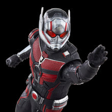 Load image into Gallery viewer, INSTOCK Marvel Legends Series Ant-Man
